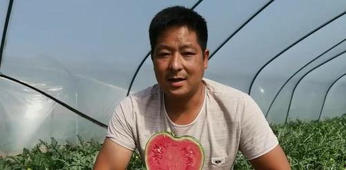 娱乐圈人名黑土 吃瓜,揭秘“黑土”吃瓜背后的故事