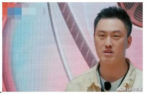 吃瓜吃不过来娱乐圈,吃瓜群众如何应对信息爆炸时代