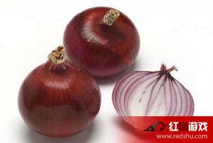 洋葱娱乐坑吗,坑与亮点并存，观众评价两极分化